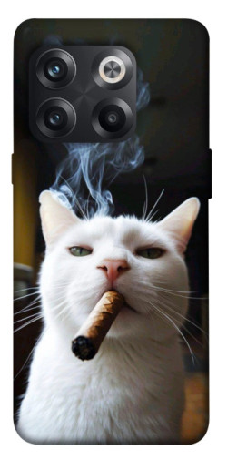 Чехол itsPrint Cat cigar для OnePlus 10T