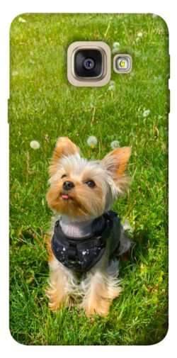 Чехол itsPrint Йорк в траве для Samsung A520 Galaxy A5 (2017)