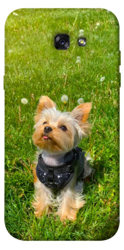 Чехол itsPrint Йорк в траве для Samsung A720 Galaxy A7 (2017)