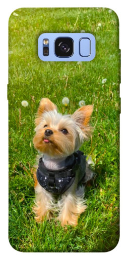 Чехол itsPrint Йорк в траве для Samsung G950 Galaxy S8