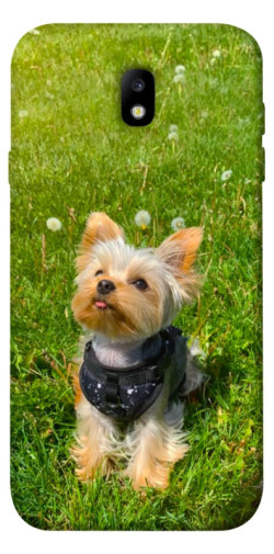 Чехол itsPrint Йорк в траве для Samsung J730 Galaxy J7 (2017)