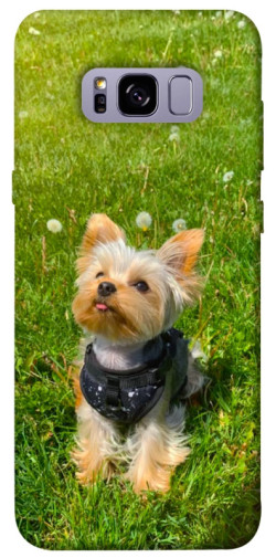 Чехол itsPrint Йорк в траве для Samsung G955 Galaxy S8 Plus