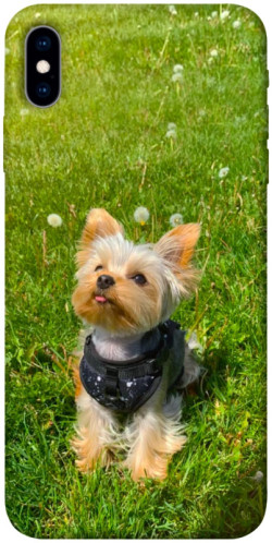 Чехол itsPrint Йорк в траве для Apple iPhone X (5.8")