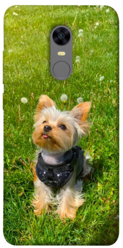 Чехол itsPrint Йорк в траве для Xiaomi Redmi 5 Plus / Redmi Note 5 (Single Camera)