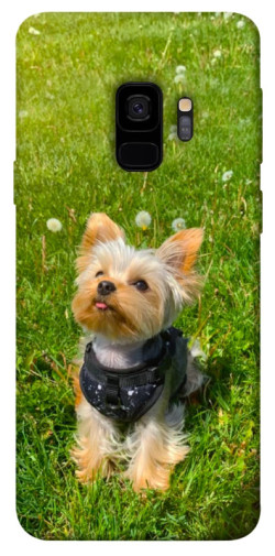 Чехол itsPrint Йорк в траве для Samsung Galaxy S9