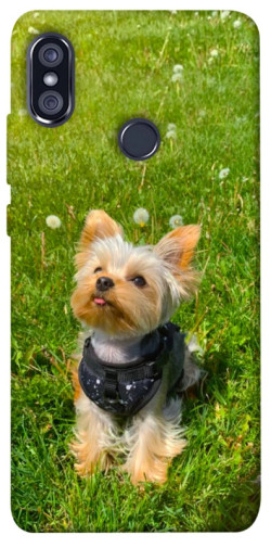 Чехол itsPrint Йорк в траве для Xiaomi Redmi Note 5 Pro / Note 5 (AI Dual Camera)