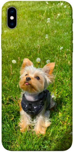 Чехол itsPrint Йорк в траве для Apple iPhone XS Max (6.5")