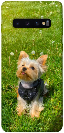 Чехол itsPrint Йорк в траве для Samsung Galaxy S10