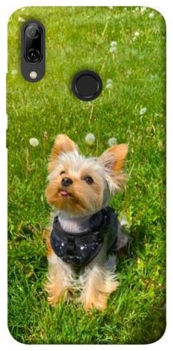 Чехол itsPrint Йорк в траве для Huawei P Smart (2019)