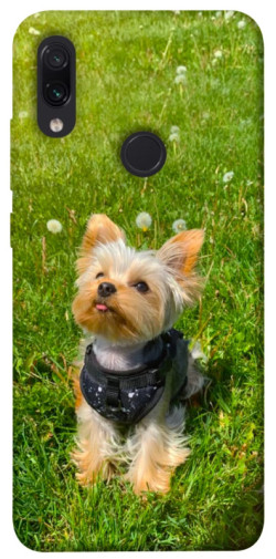 Чехол itsPrint Йорк в траве для Xiaomi Redmi Note 7 / Note 7 Pro / Note 7s