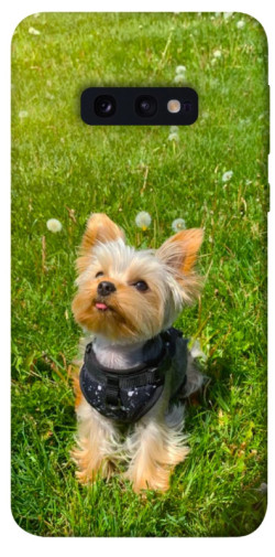 Чехол itsPrint Йорк в траве для Samsung Galaxy S10e