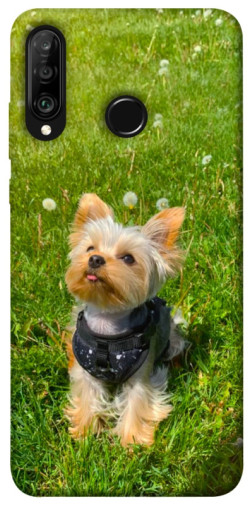 Чехол itsPrint Йорк в траве для Huawei P30 lite