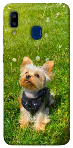 Чехол itsPrint Йорк в траве для Samsung Galaxy A20 / A30