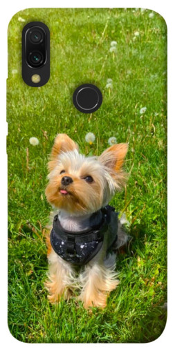 Чехол itsPrint Йорк в траве для Xiaomi Redmi 7