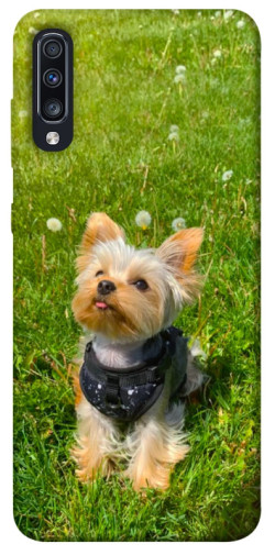 Чехол itsPrint Йорк в траве для Samsung Galaxy A70 (A705F)