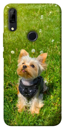 Чехол itsPrint Йорк в траве для Huawei P Smart Z