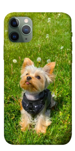 Чехол itsPrint Йорк в траве для Apple iPhone 11 Pro (5.8")