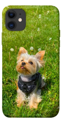 Чехол itsPrint Йорк в траве для Apple iPhone 11 (6.1")