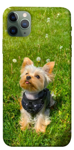 Чехол itsPrint Йорк в траве для Apple iPhone 11 Pro Max (6.5")