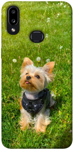 Чехол itsPrint Йорк в траве для Samsung Galaxy A10s