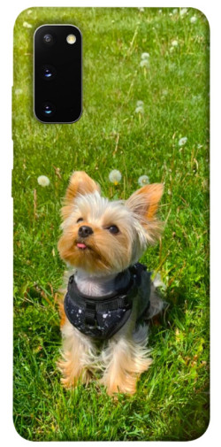 Чехол itsPrint Йорк в траве для Samsung Galaxy S20