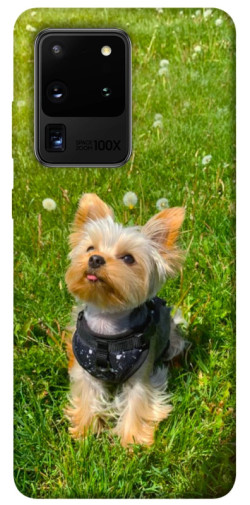 Чехол itsPrint Йорк в траве для Samsung Galaxy S20 Ultra