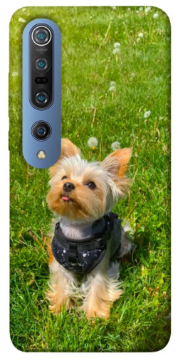 Чехол itsPrint Йорк в траве для Xiaomi Mi 10 / Mi 10 Pro