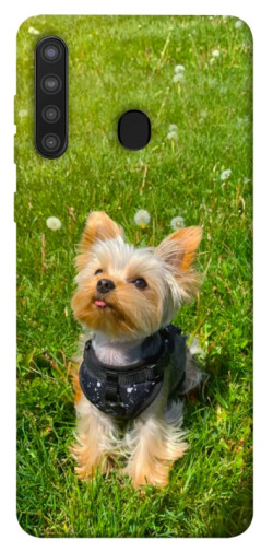 Чехол itsPrint Йорк в траве для Samsung Galaxy A21