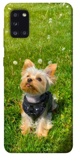 Чехол itsPrint Йорк в траве для Samsung Galaxy A31