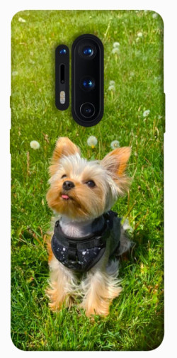 Чехол itsPrint Йорк в траве для OnePlus 8 Pro