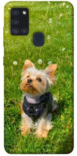 Чехол itsPrint Йорк в траве для Samsung Galaxy A21s