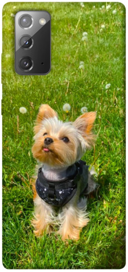 Чехол itsPrint Йорк в траве для Samsung Galaxy Note 20