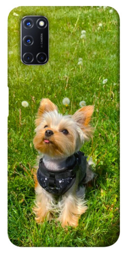 Чехол itsPrint Йорк в траве для Oppo A52 / A72 / A92