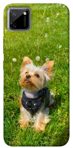 Чехол itsPrint Йорк в траве для Realme C11