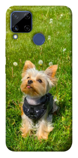 Чехол itsPrint Йорк в траве для Realme C15