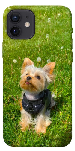 Чехол itsPrint Йорк в траве для Apple iPhone 12 Pro (6.1")