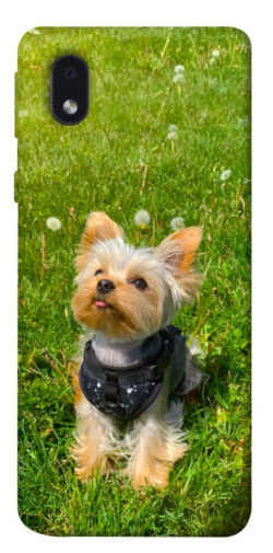 Чехол itsPrint Йорк в траве для Samsung Galaxy M01 Core / A01 Core