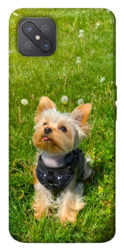 Чехол itsPrint Йорк в траве для Oppo A92s