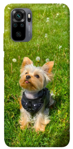 Чехол itsPrint Йорк в траве для Xiaomi Redmi Note 10 / Note 10s