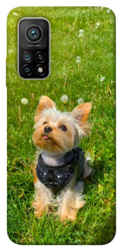 Чехол itsPrint Йорк в траве для Xiaomi Mi 10T