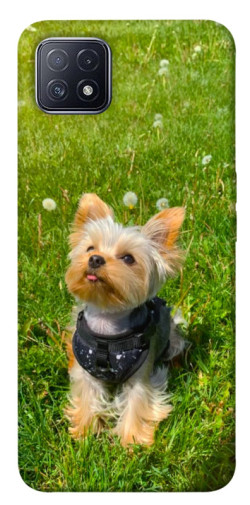 Чехол itsPrint Йорк в траве для Oppo A73