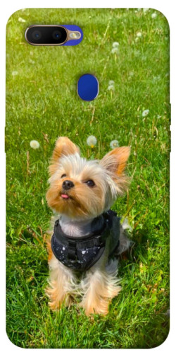 Чехол itsPrint Йорк в траве для Oppo A5s / Oppo A12