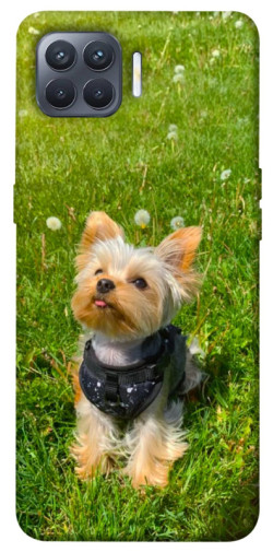 Чехол itsPrint Йорк в траве для Oppo Reno 4 Lite