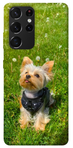 Чехол itsPrint Йорк в траве для Samsung Galaxy S21 Ultra