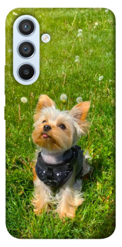 Чехол itsPrint Йорк в траве для Samsung Galaxy A54 5G