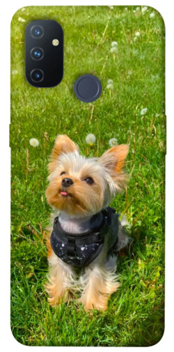 Чехол itsPrint Йорк в траве для OnePlus Nord N100