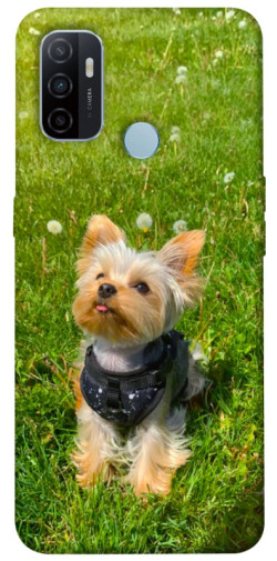 Чехол itsPrint Йорк в траве для Oppo A53 / A32 / A33