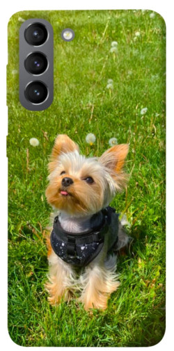 Чехол itsPrint Йорк в траве для Samsung Galaxy S21