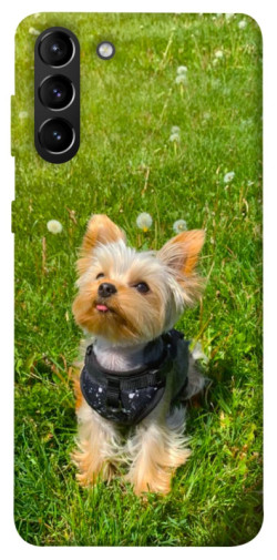 Чехол itsPrint Йорк в траве для Samsung Galaxy S21+