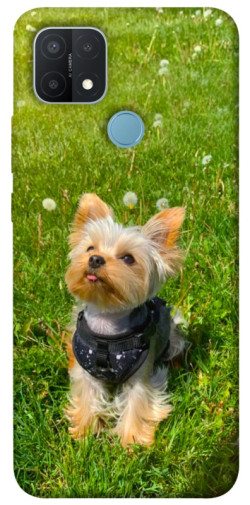 Чехол itsPrint Йорк в траве для Oppo A15s / A15